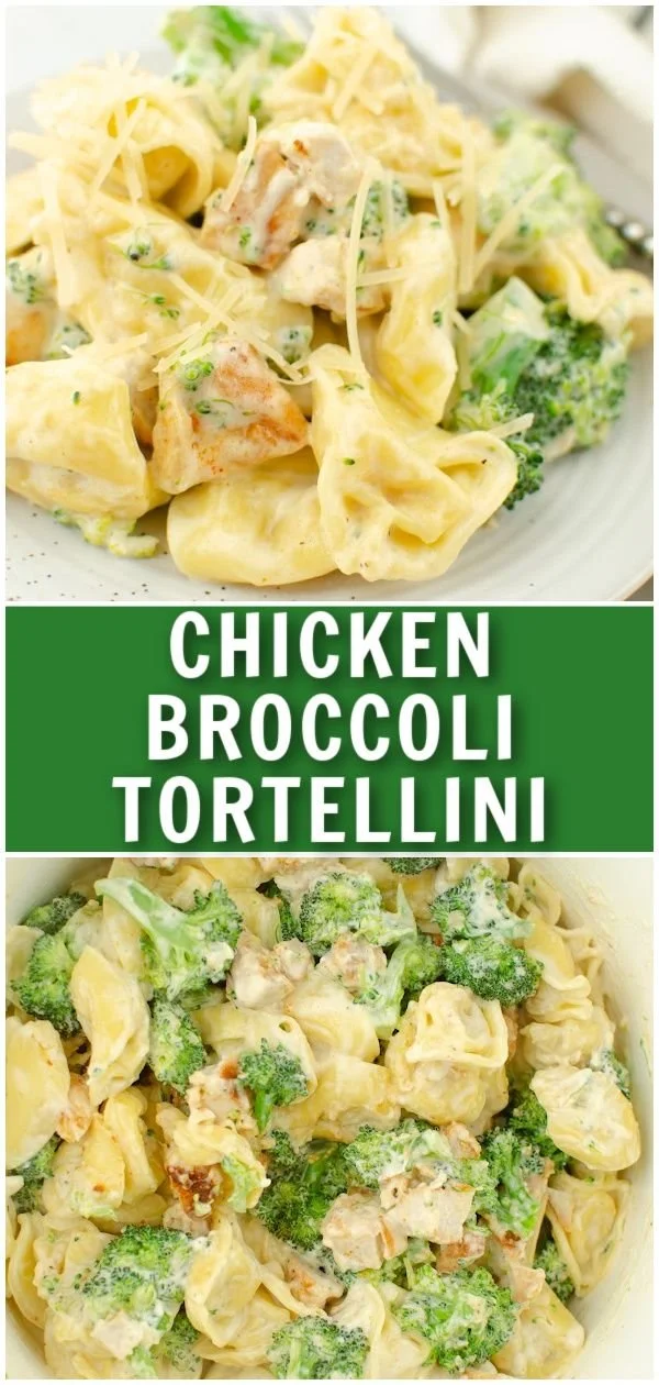 Bowl of Chicken Broccoli Tortellini with creamy sauce and fresh vegetables